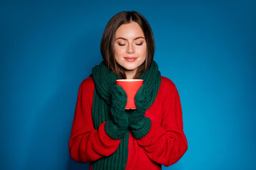 Poster - Portrait of her she nice attractive pretty dreamy calm peaceful serene cheery girl wearing wool knitted clothes drinking hot milk rest relax isolated bright vivid shine vibrant blue color background