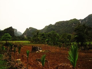 Sailing among the stunning limestone cliffs and mountain islands of Ha Long Bay in Vietnam