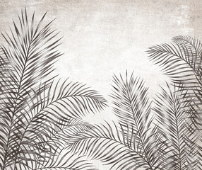 Fotoroleta paproć liść palmowy liści liść