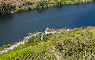 Wall Mural - Douro Valley landscape