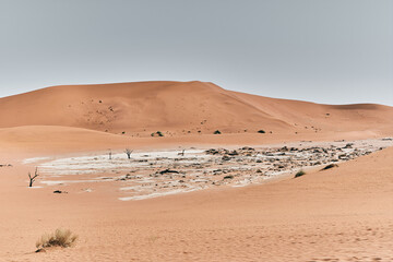 Wall Mural - Beautiful landscape view in Namibia, Africa