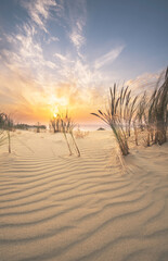 Sand dunes in Kaliningrad. Natural background. Sunrise.