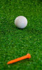 Golf ball and multicolored tees on the green
