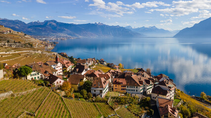 legends of the fall in lavaux, switzerland.