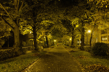 Canvas Print - autumn city park in the evening with lanterns