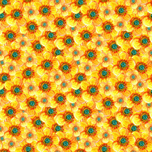 Seamless Pattern Of Yellow Buttercup Flowers Drawn With Watercolors And Pencils