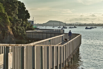 Wall Mural - auckland, new zealand - mar 19, 2019: perspective view of bucklands beach to half moon bay marina wo