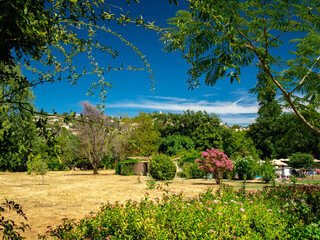 Wall Mural - provencal landscape in summer 