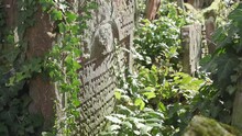 Old Jewish Cemetery With Gravestone Covered With Leaves In Battonstrasse Next To Judengasse In Frankfurt Am Main Germany.  800 Years Of Jewish History. 4k