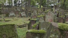 Old Jewish Cemetery With Gravestones Covered With Leaves In Battonstrasse Next To Judengasse In Frankfurt Am Main Germany.  800 Years Of Jewish History. 4k. Slow Motion.