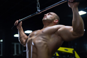 Wall Mural - Handsome young muscular man of model appearance working out training pumping up back muscles in the gym gaining weight on machines