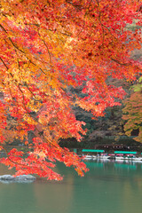 Poster - 秋の京都嵐山