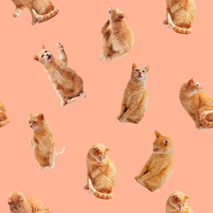 Wall Mural - seamless pattern with cat on pink background