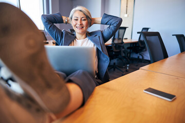 Wall Mural - Cheerful businesswoman using modern laptop in office