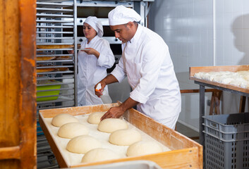 Experienced hispanic baker sprinkling water on surface of raw formed bread from spray bottle to form thin and crispy crust during baking