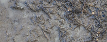 Greasy Wet Mud Background Texture