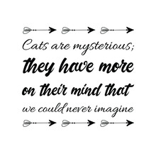 Cats Are Mysterious; They Have More On Their Mind That We Could Never Imagine. Vector Quote