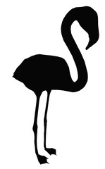 Wall Mural - Silhouette mit einem Flamingo