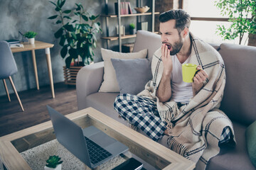 Poster - Full size photo of frustrated guy dont know what do quarantine watch laptop boring series hand mouth yawn hold tea cup sit divan plaid blanket cover in house indoors