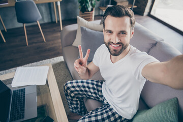 Poster - Closeup photo of handsome funny guy sit sofa work morning browsing notebook freelancer remote work home quarantine take selfies show v-sign symbol pajama living room indoors