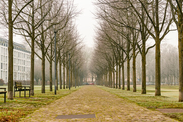 Weg mit Pflastersteine in einem Park bei Nebel