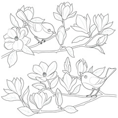  Birds on a magnolia branch black and white illustration for coloring
