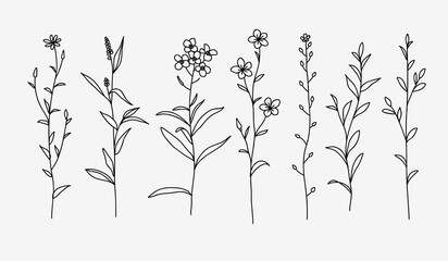 Wall Mural - One line drawing. Set of herbs and wild flowers. Hand drawn sketch. Vector illustration.