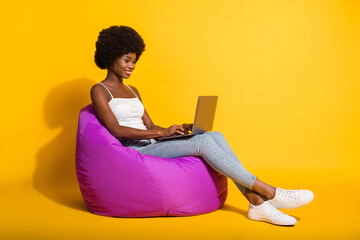 Sticker - Photo of beautiful adorable business lady wear casual outfit sitting beanbag looking working computer isolated yellow color background