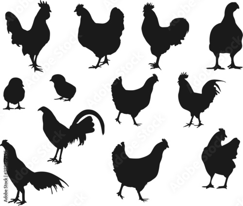 Download Cock Rooster Silhouette Cock Rooster Svg Cut File For Silhouette Svg Eps Dxf Png Clipart Cricut Design Space Vinyl Cut Files Stock Vector Adobe Stock