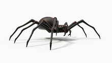 Black Spider With Red Skin Details. Suitable For Horror, Halloween, Arachnid And Insect Themes. 3D Illustration With White Background.