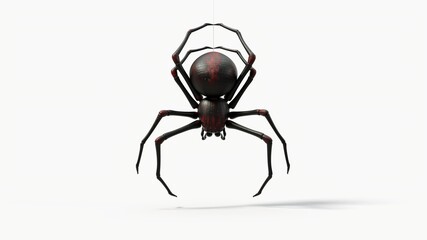 hanging black spider. with red skin details. suitable for horror, halloween, arachnid and insect themes. 3d illustration, front view
