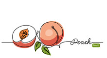 Peach Simple Vector Illustration. One Continuous Line Drawing Art Illustration With Lettering Peach Fruit.