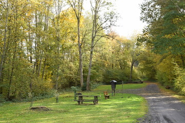 Canvas Print - herbstlicher Rastplatz in der Eifel