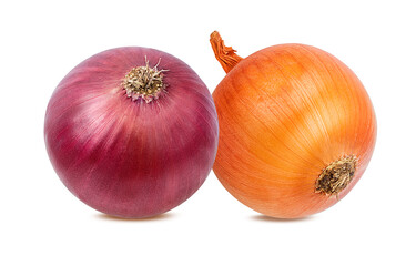 onion  isolated on white background