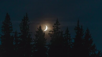 timelapse of moving moon in night sky over trees. 4k
