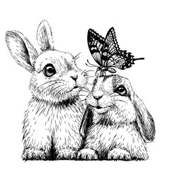 Little rabbits with a butterfly. Wall sticker. Sketch, artistic portrait of two cute little rabbits with a butterfly on a white background. Digital vector drawing