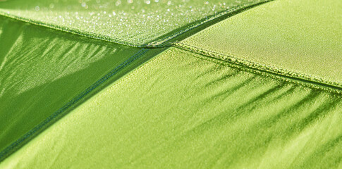 fragment of the dome of a hiking tent, covered with dew in the early morning