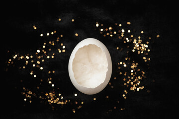 Wall Mural - Eggshell on black fur with gold glitter close up