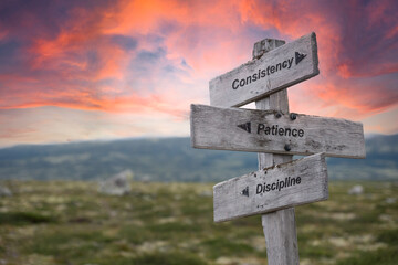 consistency patience discipline text engraved in wooden signpost outdoors in nature during sunset and pink skies.