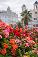 Poster - colorful benches on the bridge with flower beds