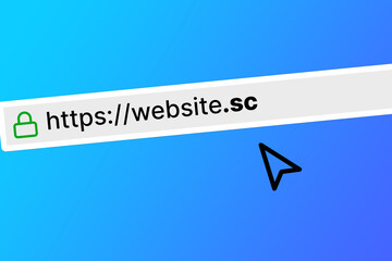 browser bar with the url of a website with a sc top level domain