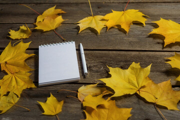 back to school theme with autumn leaves and stationery