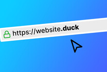 Browser Bar With The Url Of A Website With A Duck Top Level Domain
