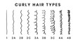 Vector illustration of hair types chart with all curl types, labeled. Curly girl method concept. From 1 to 4B.