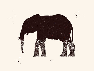 Sticker - Elephant silhouette. Abstract animal shape. Night starry sky