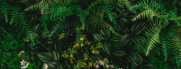 Wall Mural - monstera green leaves or monstera deliciosa in dark tones(monstera, palm, rubber plant, pine, bird’s