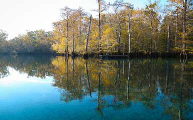 Wall Mural - MORRISON SPRINGS, FLORIDA, UNITED STATES - Oct 19, 2018: Morrison Springs Park reflection