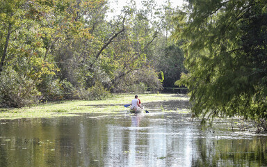 Wall Mural - FRUITLAND PARK, FLORIDA, UNITED STATES - Oct 22, 2018: Paddling at Lake Griffin State Park