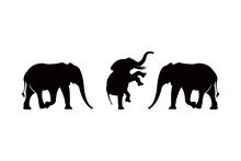 Elephant Silhouette Icon Vector Set For Logo