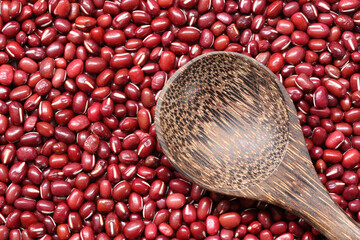 Fresh small seed of red beans and have empty wooden spoon.